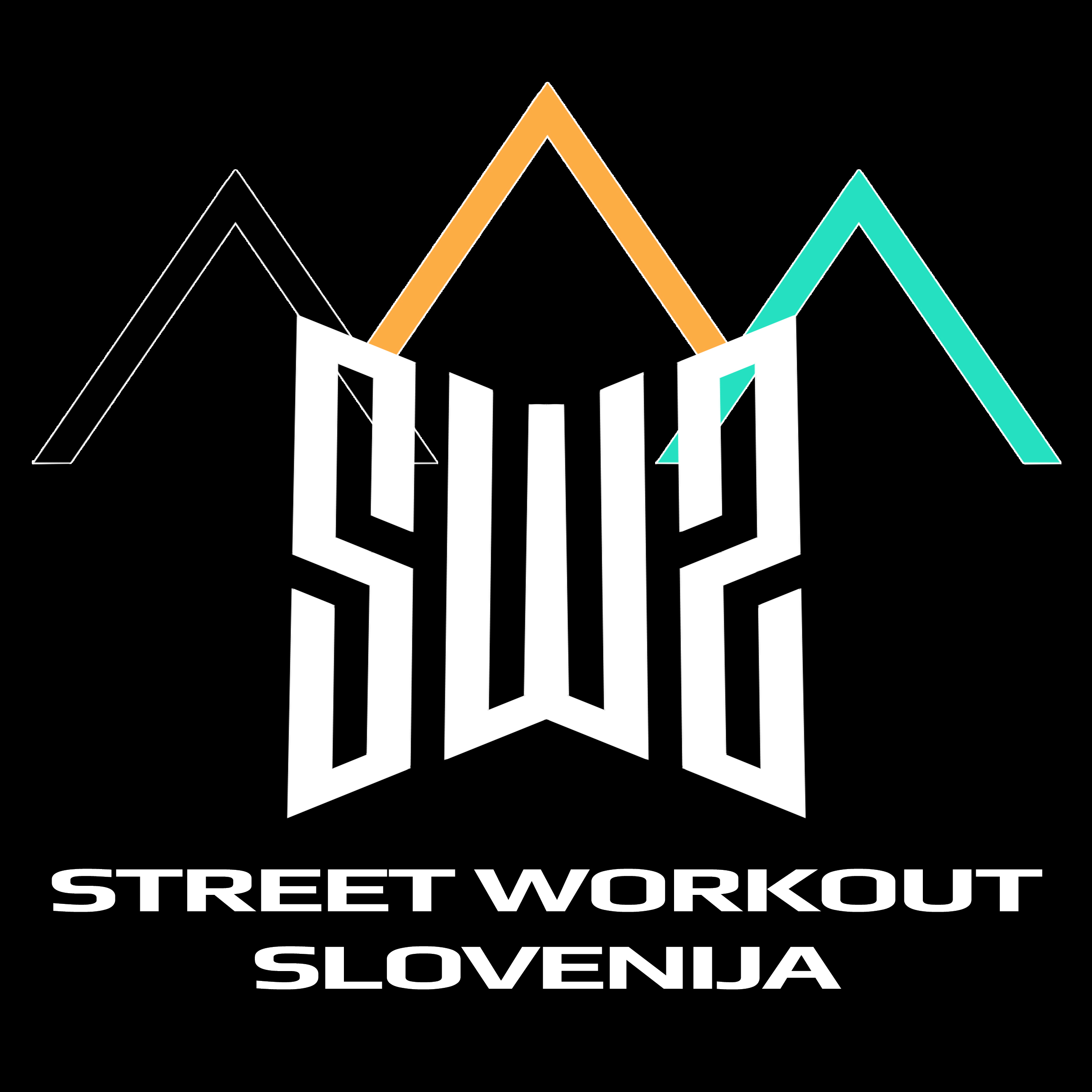 Street Workout Slovenija